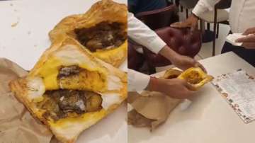 Viral video claims fungus-contaminated patties being sold in Varanasi