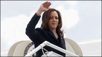 US elections: Kamala Harris becomes presidential nominee