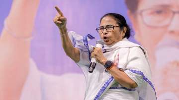 Mamata Banerjee, Kolkata Doctor rape murder case, TMC rift