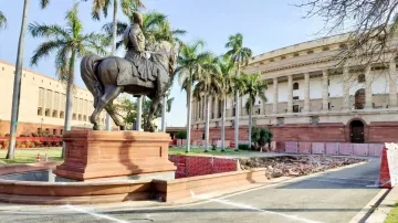 Parliament complex, Parliamentary panels