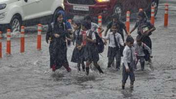 Gujarat rains, schools closed