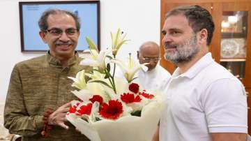 Uddhav Thackeray, Rahul Gandhi, Maharashtra