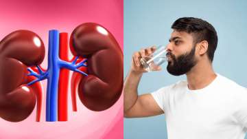 Know how many litres of water you should drink daily to keep your kidneys healthy