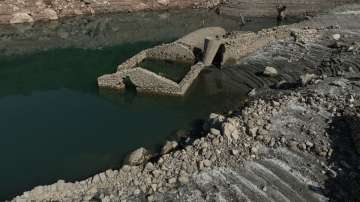 A drone view shows a cow next to Lake Mornos, which was created by intentionally flooding the villag