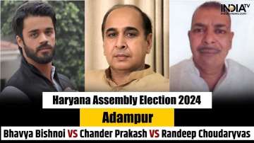 HARYANA assembly elections 2024, Adampur seat, bhavya bishnoi, Hot seats in Haryana Assembly Electio