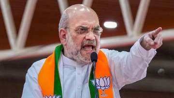 BJP manifesto release for J-k assembly elections