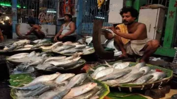 Vendors selling Hilsa fish in a wholesale market in Kolkata. 