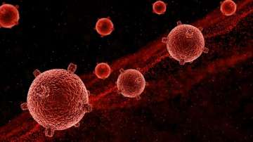 Early signs of blood cancer one must know