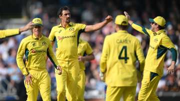 Mitchell Starc celebrates with his teammates.