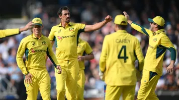 Mitchell Starc celebrates with his teammates.