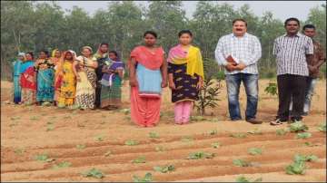 Maa Mahamaya Self Help Group of 11 women from Madai