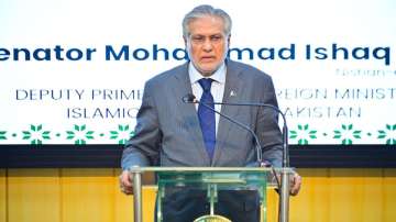 Paksitan Foreign Minister Mohammad Ishaq Dar