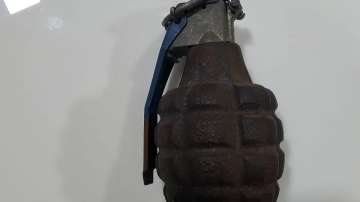 Hand grenade found in Kandla SEZ 