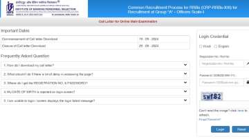 IBPS RRB CRP XIII 2024 main admit card