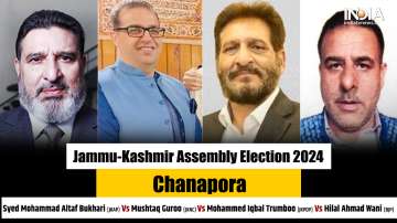 Chanapore Assembly Election 2024, Chanapore Assembly Election results, Chanapore Assembly Election