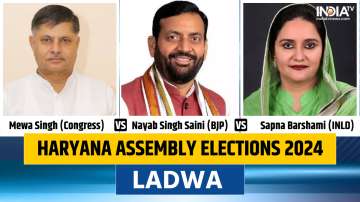 haryana assembly elections 2024