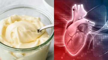 Mayonnaise's may impact heart health