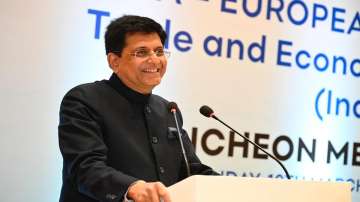 What is Russian Startup model proposed by Piyush Goyal 