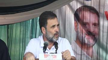 Jammu Kashmir Assembly Elections 2024, Rahul Gandhi, Rahul Gandhi in Jammu Kashmir, Congress poll ca