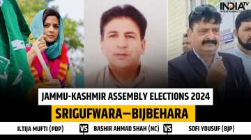 Jammu and Kashmir Assembly Elections