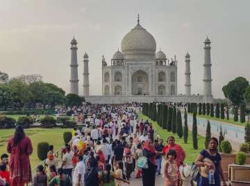 A newly released video raises alarms as a plant clings to the marble dome of the Taj Mahal.