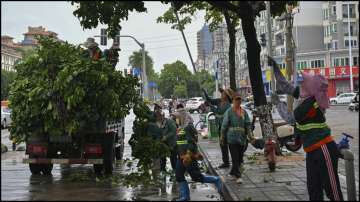 Typhoon Yagi makes landfall in China