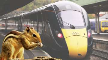 Two squirrel travellers force train cancellation