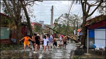 People use ropes to remove fallen trees following the impact of Typhoon Yagi.