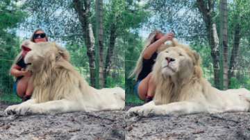 Viral video of woman cuddling enormous white lion has mesmerised netizens