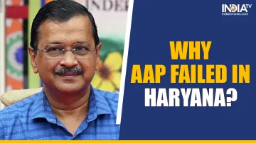 Why AAP failed to open account in Haryana polls?