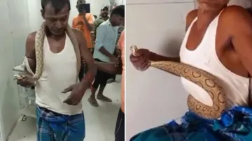 Parmod arrived at the hospital holding the live snake after it had bitten him.