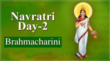 Navratri 2024 Day 