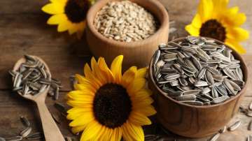 Sunflower seeds