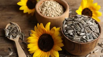 Sunflower seeds