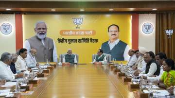 Prime Minister Narendra Modi, Union Home Minister Amit Shah, Union Defence Minister Rajnath Singh, Union Minister and BJP National President JP Nadda and others during the party’s Central Election Committee (CEC) meeting on the upcoming Maharashtra Assembly elections.
