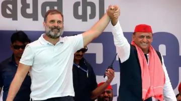 Uttar Pradesh, UP bypolls, UP by-elections 2024, Congress, Samajwadi Party 