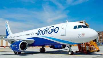 IndiGo to launch new international flights