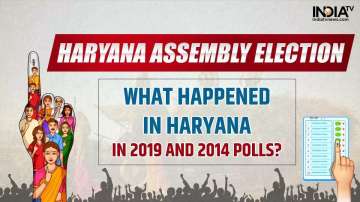 haryana assembly elections 2024