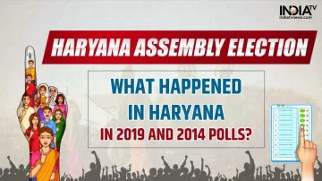 haryana assembly elections 2024