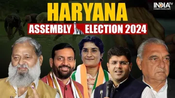 Haryana Assembly Elections 2024, Haryana Key constituencies, Haryana big contests, Haryana key candi