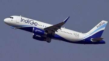 Indigo plane