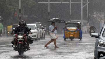  IMD issues yellow alerts for eight districts in Kerala