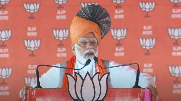 PM Modi rally, PM Modi in Haryana, PM Modi Palwal, Haryana Assembly Elections, India