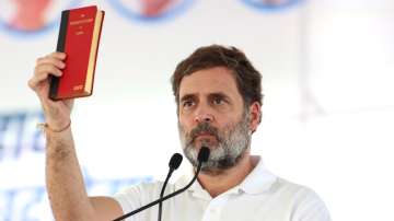 Haryana, Haryana polls,  Rahul Gandhi 