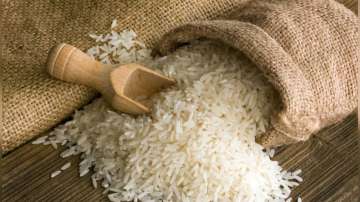 Basmati rice, export 