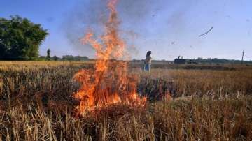 Flying squad, Air Quality panel, what is flying squad, stubble burning, stubble burning by farmers