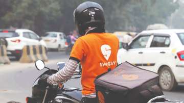 Swiggy, seal badge, 