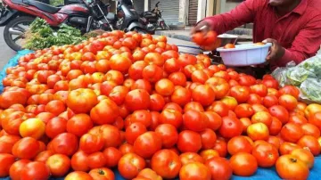 Tomato price in Delhi