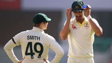 Steve Smith and Mitchell Starc.