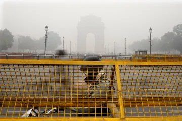 Lungs of 10th, 12th students different?  SC asks